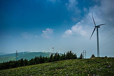 卡BUG免费领的《心灵杀手：复刻版》已被微软回收